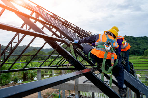 Best Metal Roofing Contractor  in Algona, IA